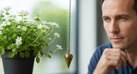 Quand prendre le bacopa monnieri : matin, midi ou soir ?