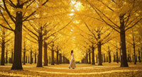 Ginkgo Biloba bio : excellence certifiée et bienfaits cognitifs