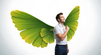 Ginkgo Biloba: mémoire, concentration et vivacité d'esprit