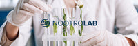 Illustration d'un laboratoire de recherche en nutrition cognitive avec des tubes à essai contenant des plantes, représentant l'excellence de Nootrolab dans la résilience et la performance cognitive.