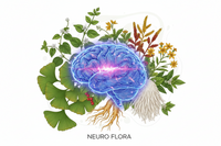 Nootropiques : guide complet des bienfaits et limites
