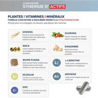 Illustration de plantes : Ginseng, Guarana, Maca, Gingembre, Muira Puama, L-Carnitine