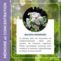 Présentation du produit Bacopa Monnieri 