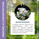 Présentation du produit Bacopa Monnieri 