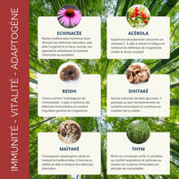 Infographie des plantes pour renforcer l'immunité