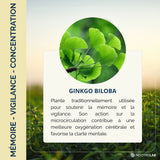 bienfait du GinkGo Biloba