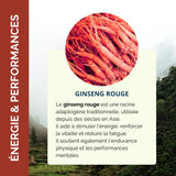 Ginseng rouge racine pour performance et endurance