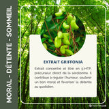 Feuilles de Griffonia Simplicifolia