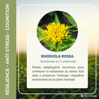 Conseils d'utilisation du complément Rhodiola pour la gestion du stress et l'énergie