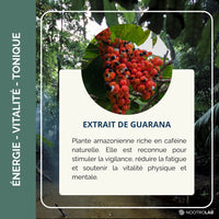 Conseils d'utilisation des gélules de Guarana pour énergie quotidienne