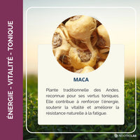 Gros plan de racines de maca bio