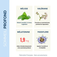 Ingrédients actifs de Nuit Tranquille Sommeil+ : mélisse, valériane, mélatonine et passiflore pour un sommeil réparateur et apaisé.