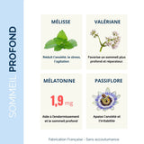 Ingrédients actifs de Nuit Tranquille Sommeil+ : mélisse, valériane, mélatonine et passiflore pour un sommeil réparateur et apaisé.