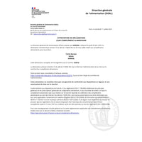 Feuilles de ginkgo pour complément nutritionnel cérébral