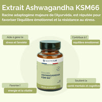 Infographie sur les bienfaits de l'extrait d'Ashwagandha KSM-66 pour l'équilibre émotionnel