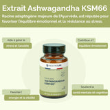 Infographie sur les bienfaits de l'extrait d'Ashwagandha KSM-66 pour l'équilibre émotionnel