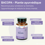 Infographie sur la plante ayurvédique Bacopa Monnieri