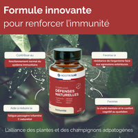 Infographie sur la vitamine C et la santé immunitaire