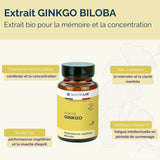 Infographie sur le Ginkgo Biloba pour mémoire et concentration