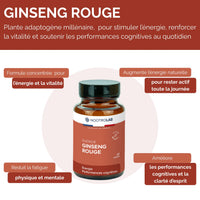 Infographie sur les bienfaits du ginseng rouge pour la performance cognitive