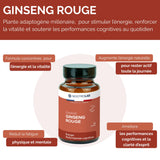 Infographie sur les bienfaits du ginseng rouge pour la performance cognitive