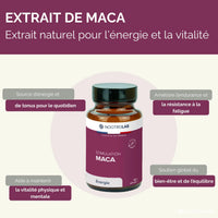 Complément alimentaire Maca bio pour énergie et vitalité